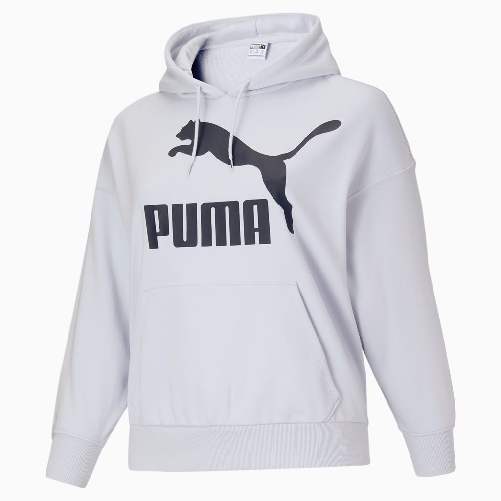 Arctic Ice Puma Classics Logo PL Women's Hoodie | 5918ZVXRY