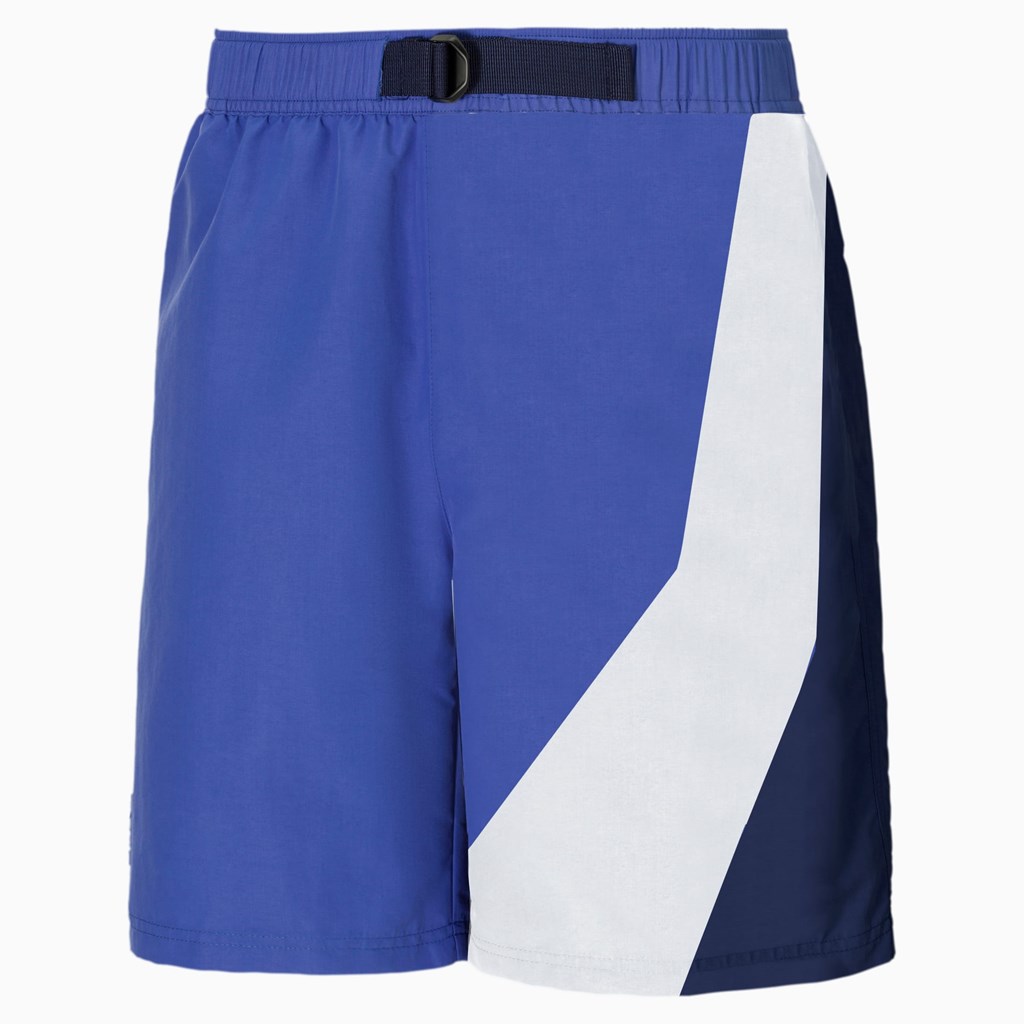 Baja Blue / .AOP Puma PUMA x BUTTER GOODS Men's Shorts | 2653HWRIT