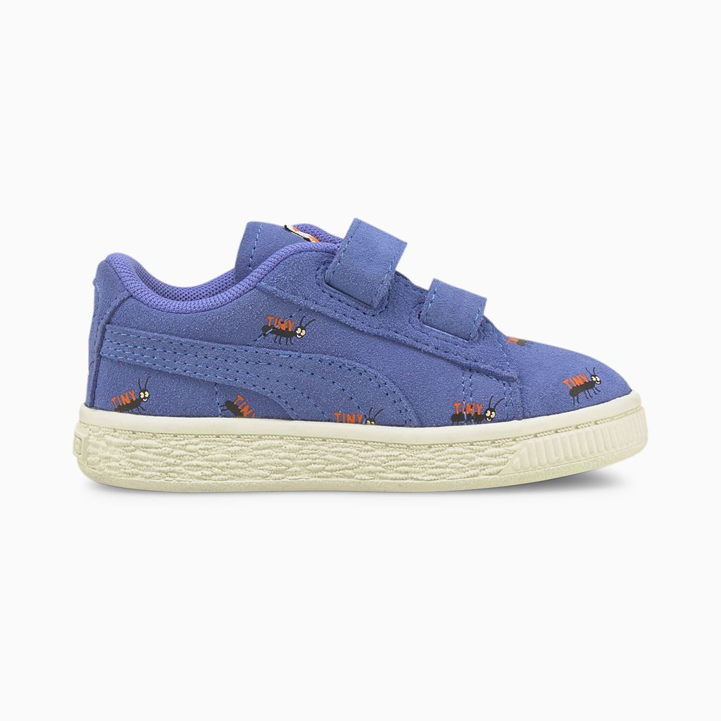 Baja Blue / Whisper White Puma PUMA x TINYCOTTONS Suede Toddler Boys' Sneakers | 2406BLHXK