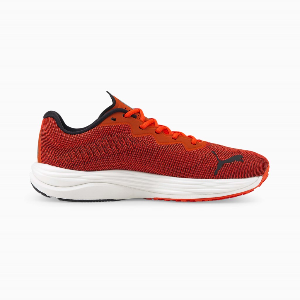 Cherry Tomato / Black Puma Velocity NITRO 2 Men's Running Shoes | 7234BYAMG