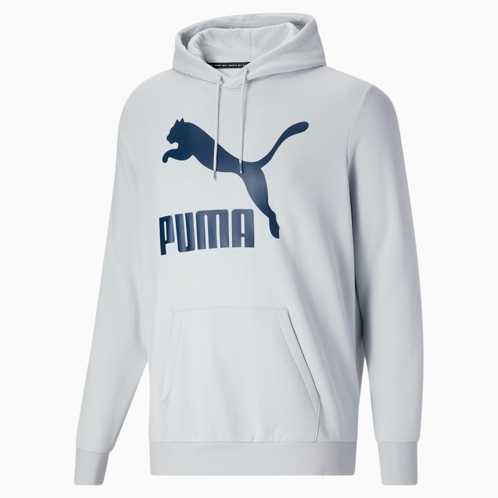 Glacial Blue Puma Classics Logo Hoodie FL BT Men's Hoodie | 6350ZTINB