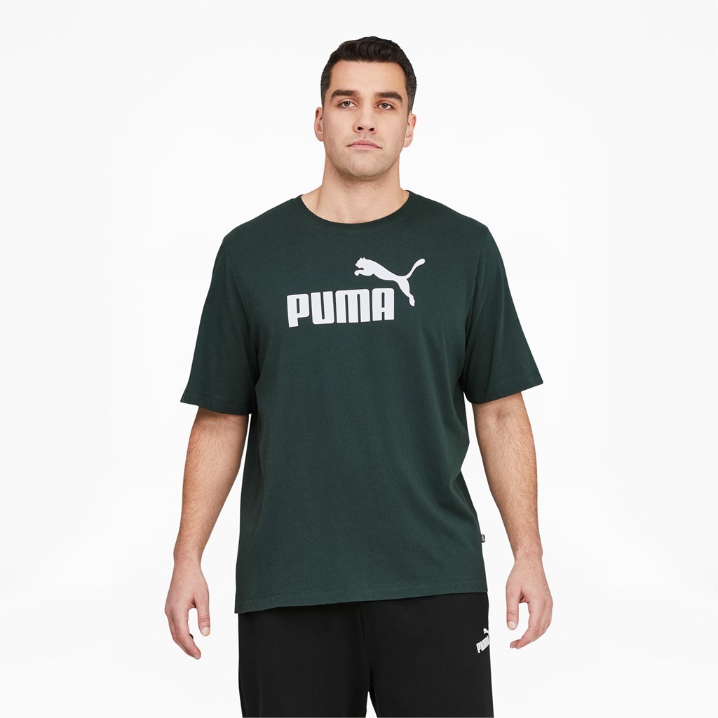 Green Gables / White Puma Essentials Logo BT Men\'s Tee | 9641PWXGS