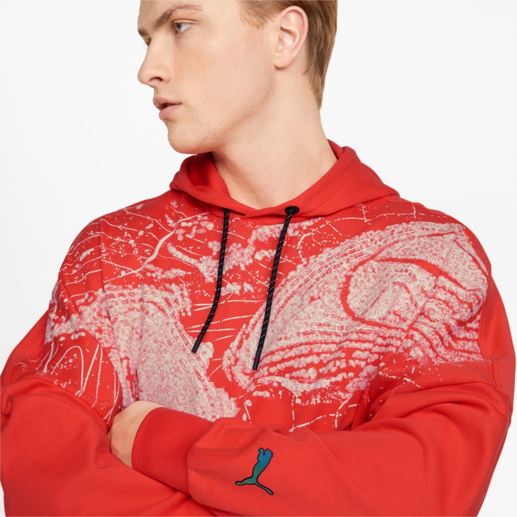 Hibiscus Puma Mercedes F1 Statement Men's Hoodie | 2439AGLTB