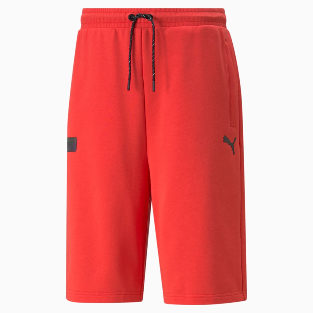 Hibiscus Puma Mercedes F1 Statement Men's Shorts | 8154ZEUOY