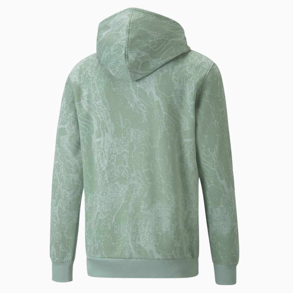 Jadeite Puma Performance Printed Training Men's Hoodie | 1430VIKRM