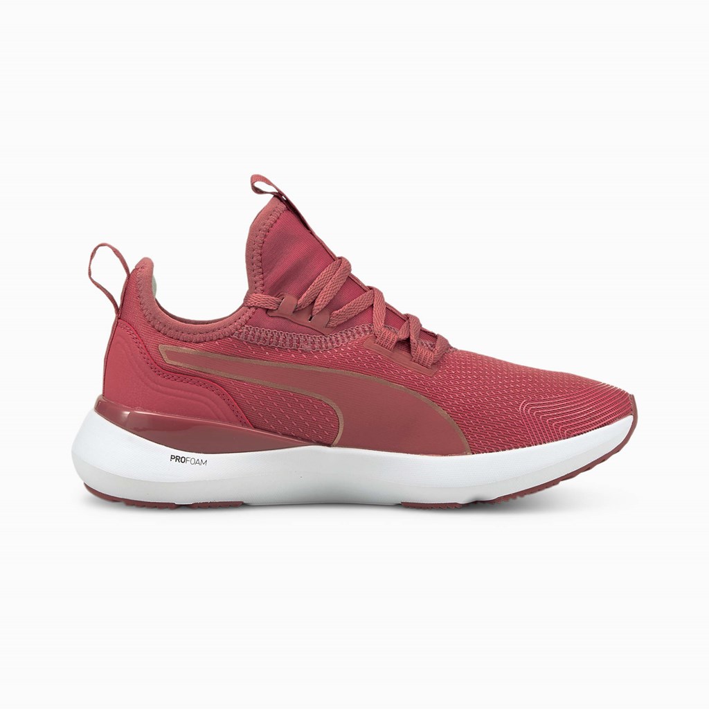 Mauvewood / Rose Gold Puma Pure XT Moto Rose  Women's Training Shoes | 1239LKYAG