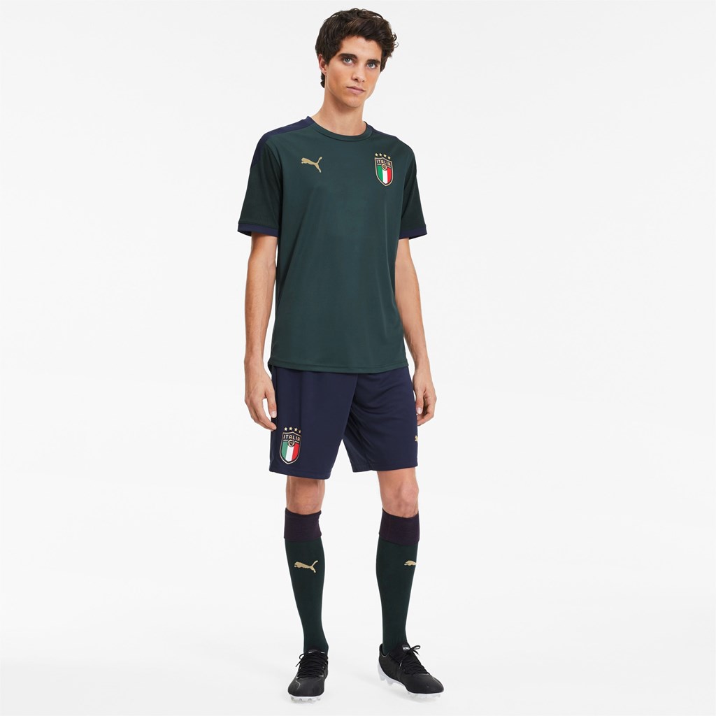 Ponderosa Pine / Peacoat Puma FIGC Training Men's Jersey | 2846WUSCD