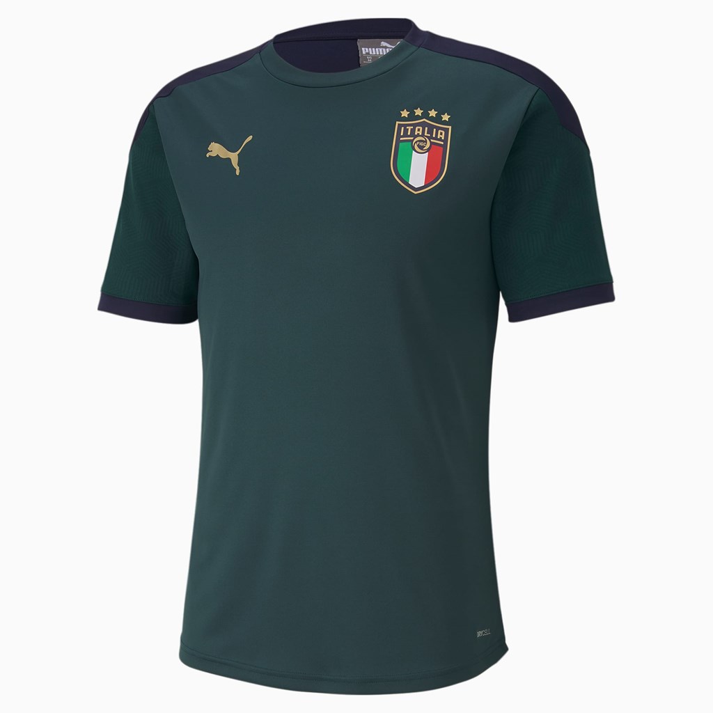 Ponderosa Pine / Peacoat Puma FIGC Training Men\'s Jersey | 2846WUSCD