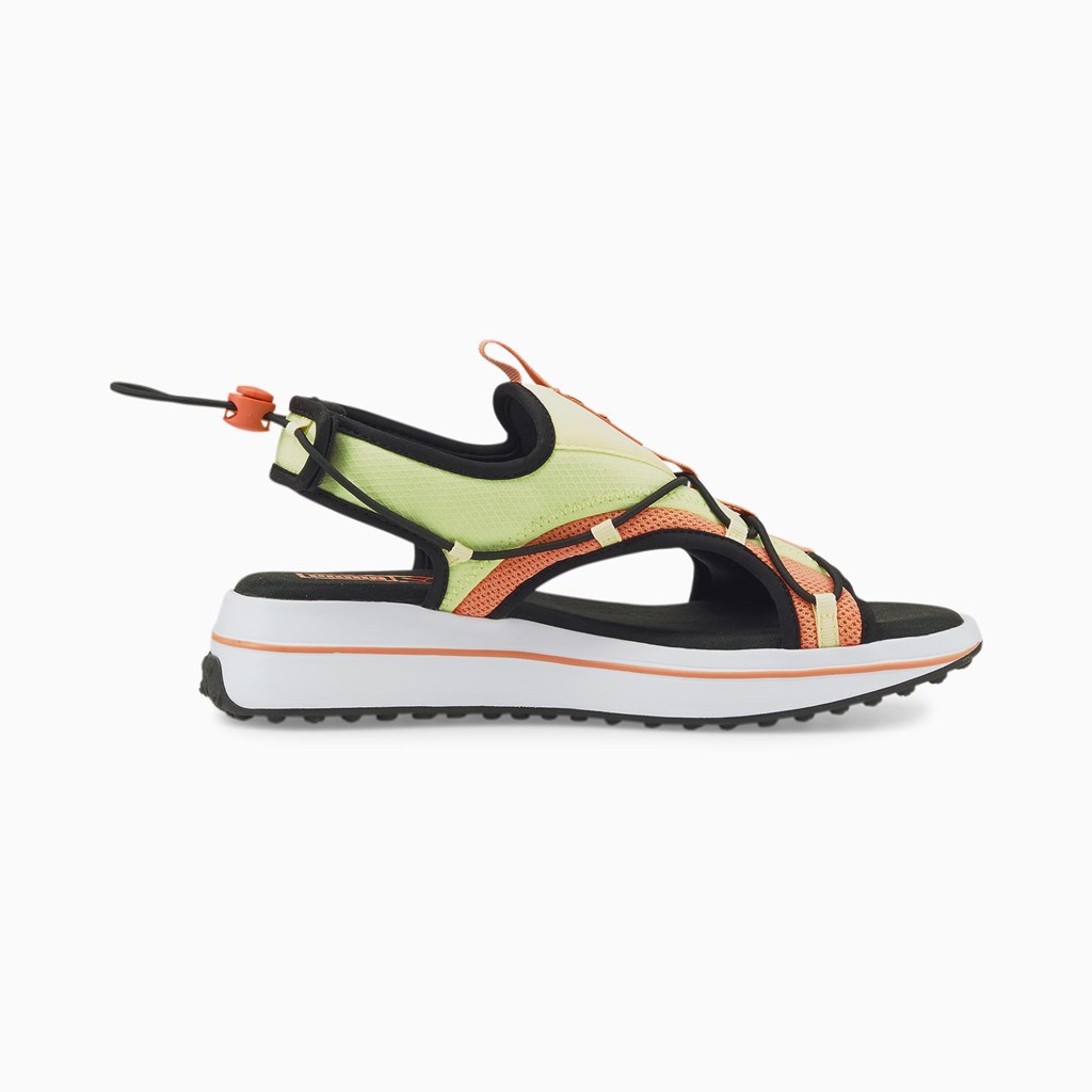 White / Butterfly / Black Puma Surf Men's Sandals | 2897OJEKT