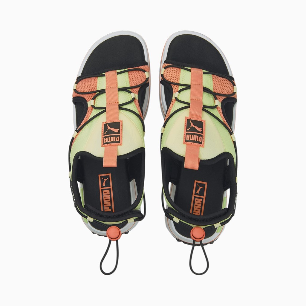 White / Butterfly / Black Puma Surf Men's Sandals | 2897OJEKT