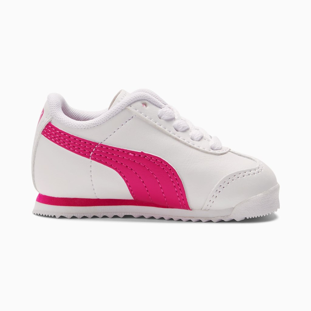 White / Fuchsia Purple Puma Roma Basic Toddler Girls' Sneakers | 3271HZAXW