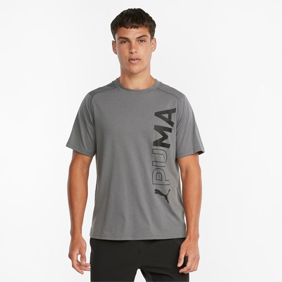 CASTLEROCK Puma Short Sleeve Training Men's Tee | 8340UHCWJ