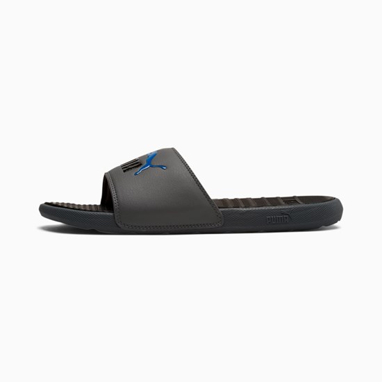 Castlerock / Black / Lapis Blue Puma Cool Cat Men's Slides | 3246ZJVNW