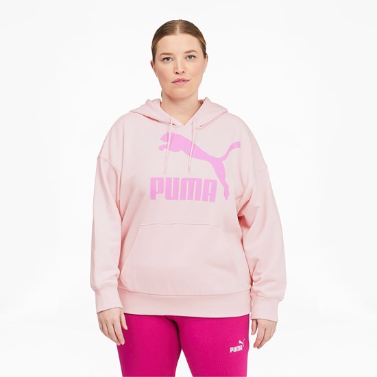 Chalk Pink Puma Classics Logo PL Women's Hoodie | 2619YHVEA