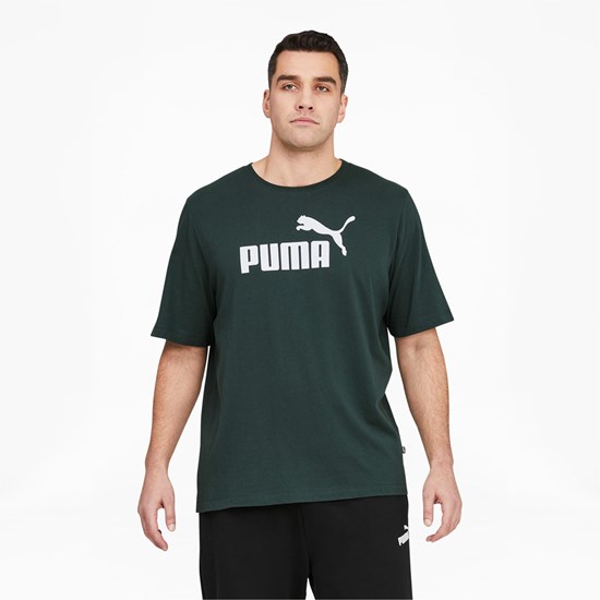 Green Gables / White Puma Essentials Logo BT Men's Tee | 9641PWXGS