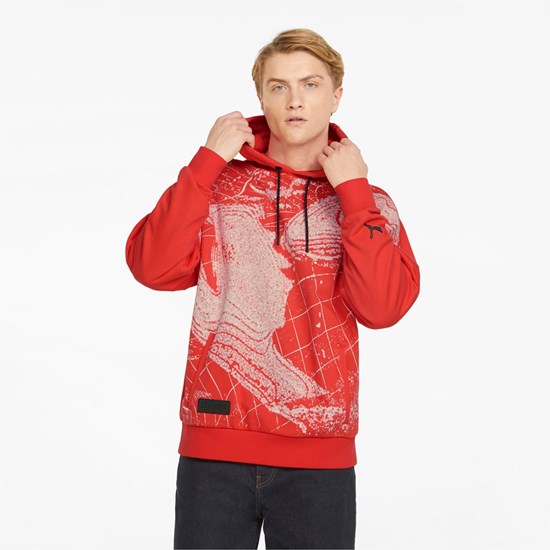 Hibiscus Puma Mercedes F1 Statement Men's Hoodie | 2439AGLTB