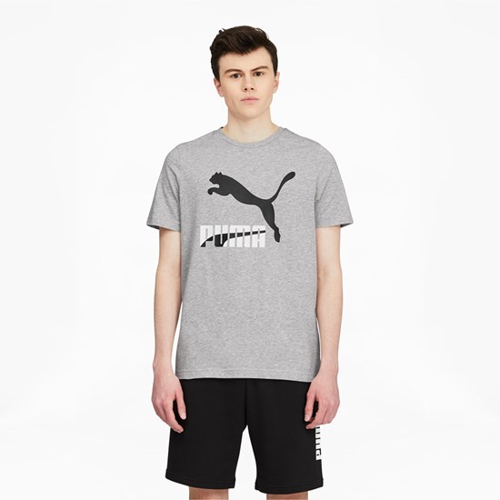 Light Gray Heather Puma Classics Logo Men's Tee | 0531SAGFE