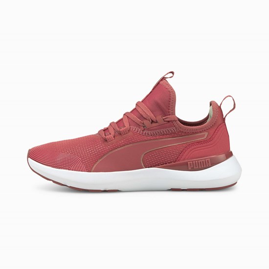 Mauvewood / Rose Gold Puma Pure XT Moto Rose Women's Training Shoes | 1239LKYAG