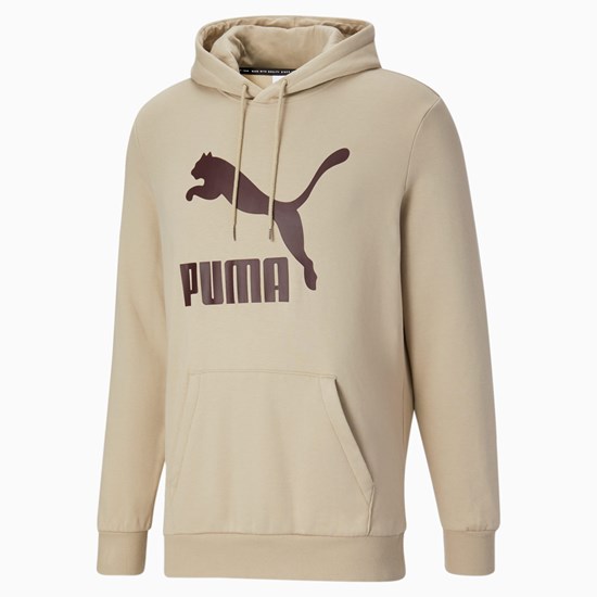 Spray Green Puma Classics Logo FL Men's Hoodie | 4968IMCGD