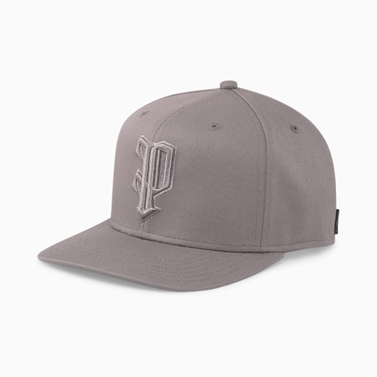 Steel Gray Puma The P Low Curve Men's Cap | 2578BPTAU